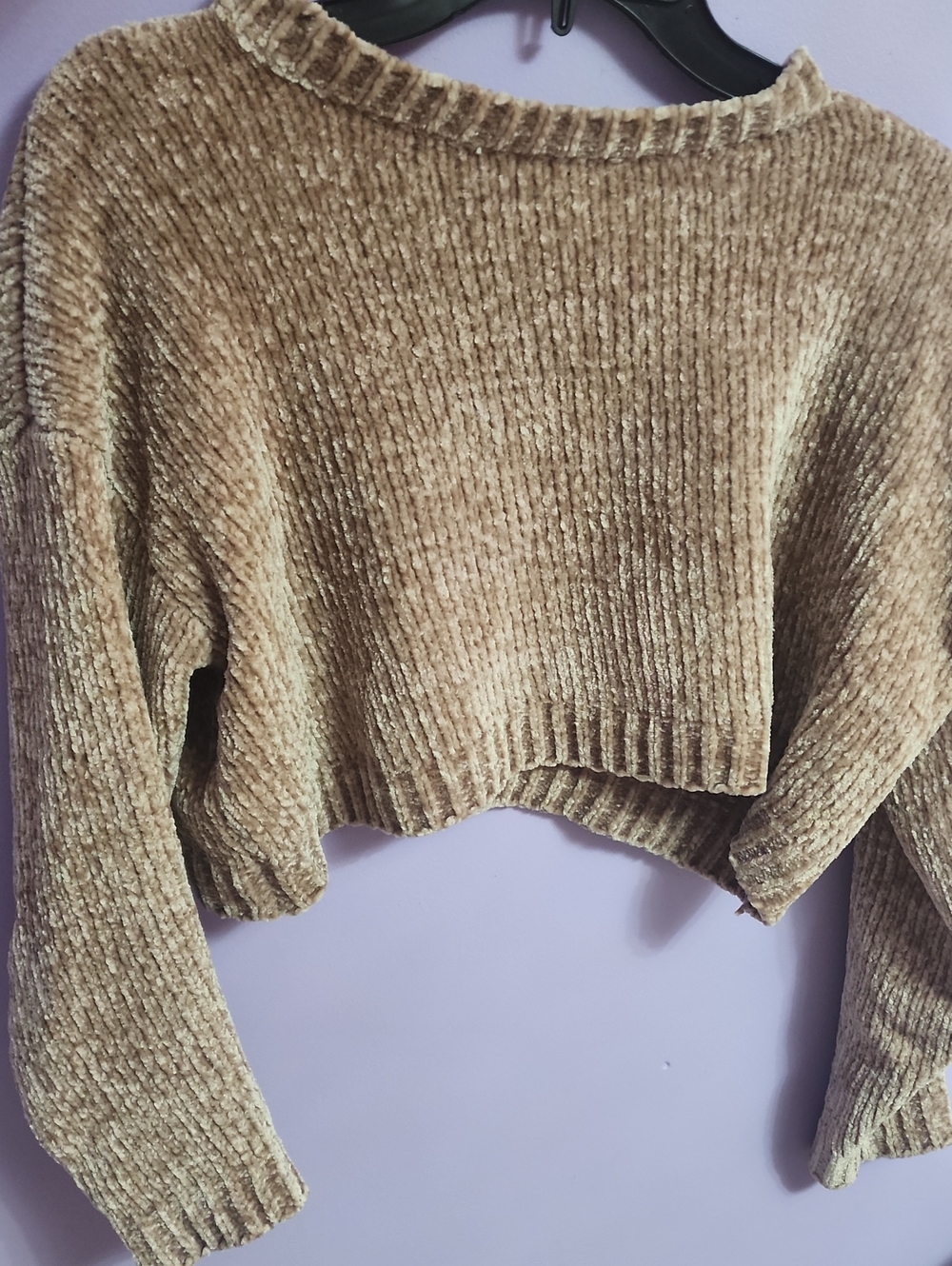 Forever 21 Tan Chenille Cropped Crewneck Sweater
